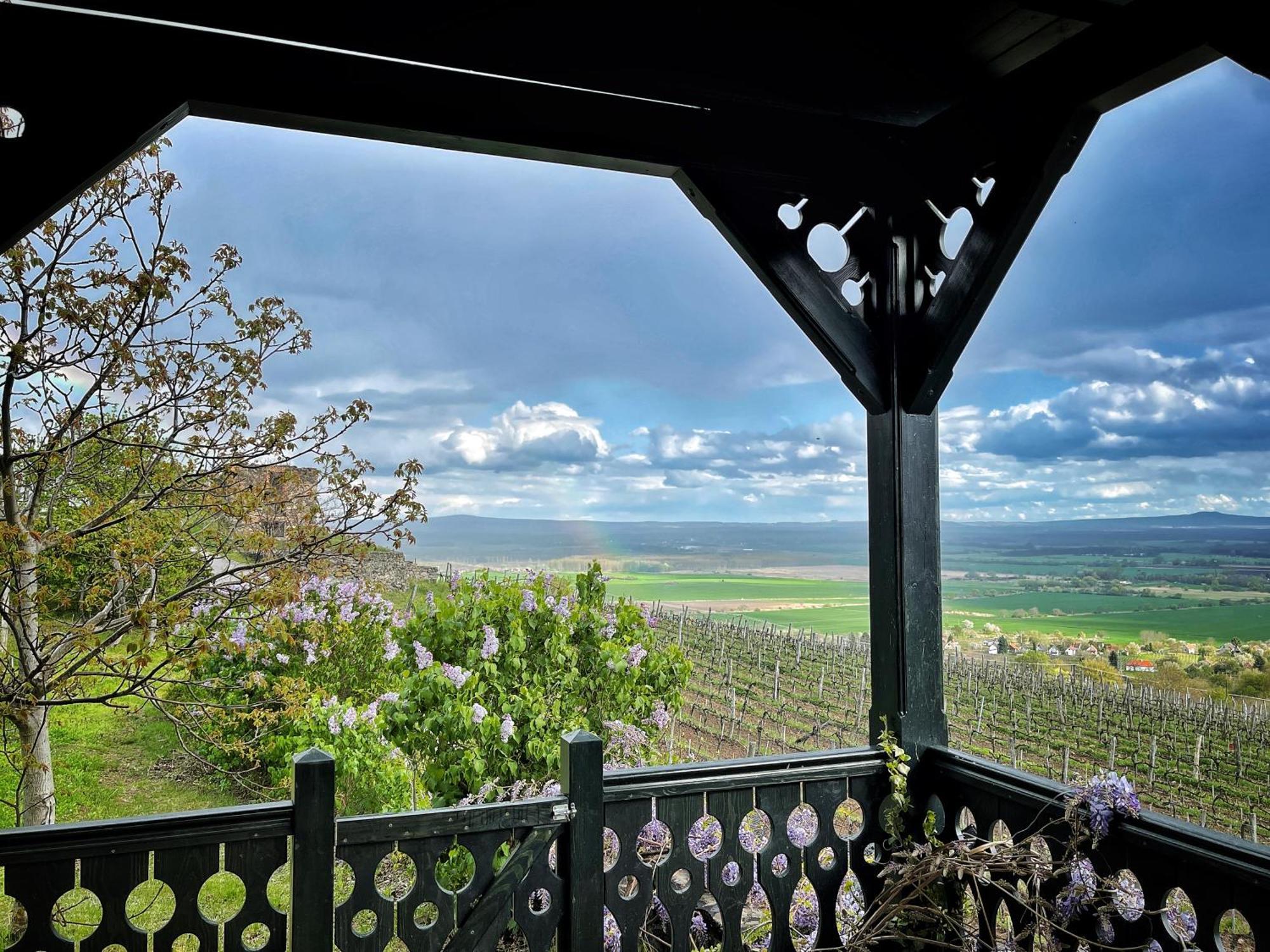 Somlovasarhely Somlo Wineshop Guesthouse מראה חיצוני תמונה