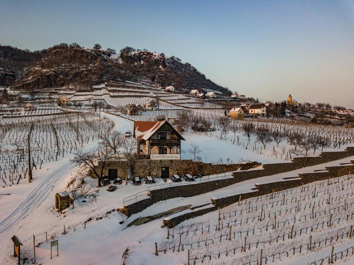 Somlovasarhely Somlo Wineshop Guesthouse מראה חיצוני תמונה